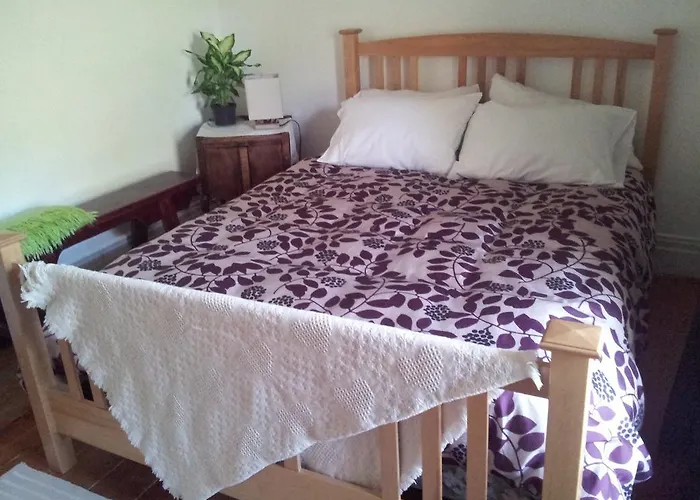 Laura'S Bed & Breakfast Kingston